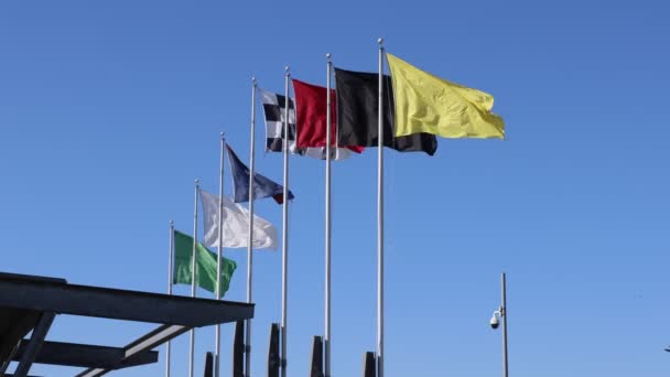Siedem Flag Wyścigowych Indianapolis Motor Speedway Gate Jedno Wejście Ims — Wideo stockowe