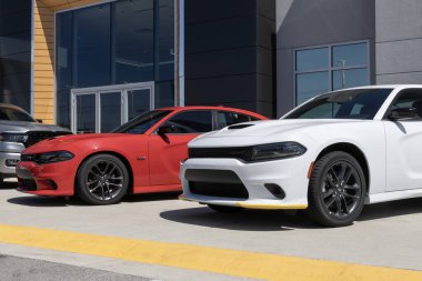 Lafayette - 25 Nisan 2024 Dodge Charger bir galeride sergileniyor. Dodge Charger 'a SXT, GT, RT ve SRT Hellcat modelleri sunar. Benim: 2023