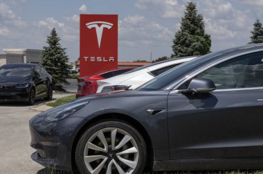 Indianapolis - May 19, 2024: Tesla EV electric vehicles on display. Tesla models include the Model 3, Model Y, Model X and Model S.