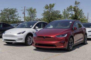 Indianapolis - 30 Mayıs 2024: Tesla Model Y ve Model X bir galeride sergilenmektedir. Tesla, Model X ve Y 'ye 310 ila 335 mil menzilli modeller sunuyor. MY:2024
