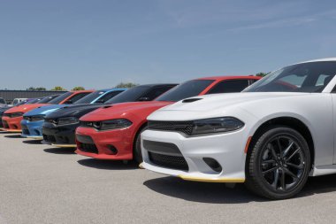 Lafayette - 11 Haziran 2024 Dodge Charger bir galeride sergileniyor. Dodge Charger 'a SXT, GT, RT ve SRT Hellcat modelleri sunar. Benim: 2023