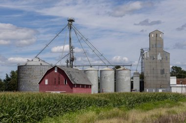 Grain and corn farm with barn, grain bins and fields of corn on a sunny day. Bucolic and picturesque rural country scene. clipart