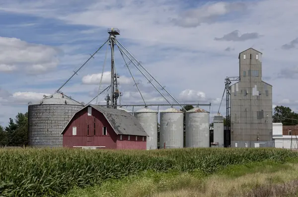 stock image Grain and corn farm with barn, grain bins and fields of corn on a sunny day. Bucolic and picturesque rural country scene.