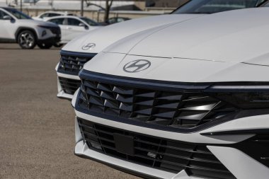 Lafayette - 29 Ocak 2025: Hyundai Elantra Compact Car bir bayilikte sergileniyor. Hyundai Elantra 'ya gaz ve hibrit elektrikli modeller sunuyor. MY:2025