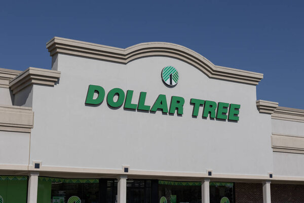 Кармель - 8 августа 2025 года: дисконтный магазин Tree. Dollar Tree предлагает эклектичную смесь продуктов за доллар и четверть. Или больше.
