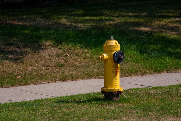 2007年8月 加拿大多伦多 多伦多居民区一条人行道旁的草地上的黄色消防栓 — 图库照片
