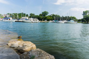 Ağustos 2019 - Kanada, Ontario, Hamilton 'daki Bayfront Park' ın rıhtım girişine yanaştılar.