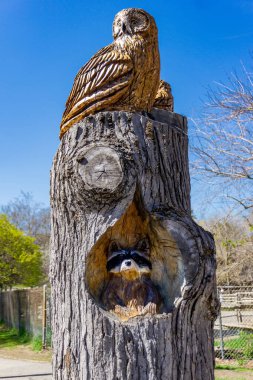 Toronto, 06 Mayıs 2016 Cabbagetown 'daki Riverdale çiftliğinin yakınında ağaç kütüğüne oyulmuş tahta bir baykuş ve bir rakunun gövdesini oyuyor.