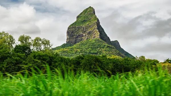 Rempart Dağı, Mauritius 'un dördüncü en yüksek doruk noktası. Kara Nehir' in batı kıyısından görüldü..