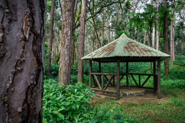 Pavillon ormanda gezginlerin dinlenmesi ve dinlenmesi için. Mauritius, La Marie 'deki Sophie Doğa Parkı