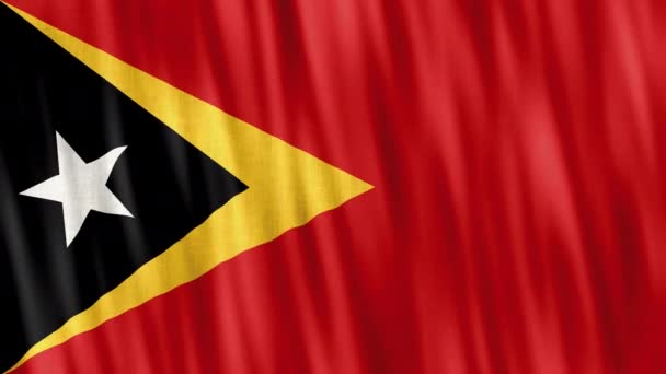 East Timor National Flag Seamless Loop Animation Closeup Waving High — Stock Video