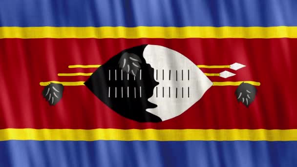 Eswatini National Flag Bezešvé Smyčkové Animace Detailní Mávání Kvalitní Uhd — Stock video