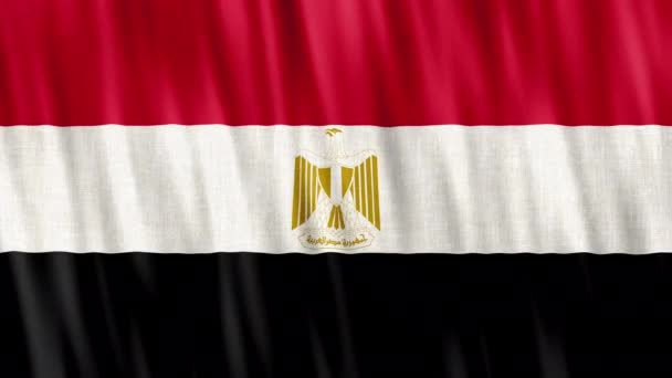 Egitto Bandiera Nazionale Animazione Loop Senza Soluzione Continuità Primo Piano — Video Stock
