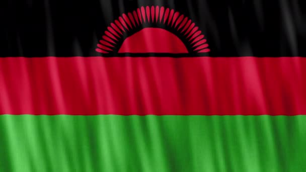Národní Vlajka Malawi Bezešvé Smyčkové Animace Detailní Mávání Kvalitní Uhd — Stock video
