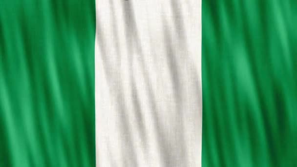尼日利亚国旗 无缝圈动画特写挥手 高质量4K Uhd Fps镜头 — 图库视频影像