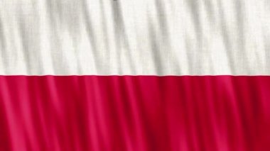 Polonya Ulusal Bayrağı. Kusursuz döngü animasyonu yakın plan el sallıyor. Yüksek kalite 4k uhd, 60 fps görüntü