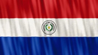 Paraguay Ulusal Bayrağı. Kusursuz döngü animasyonu yakın plan el sallıyor. Yüksek kalite 4k uhd, 60 fps görüntü