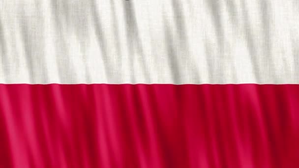 Polska Flaga Narodowa Płynna Animacja Pętli Zbliżenie Machanie Wysokiej Jakości — Wideo stockowe