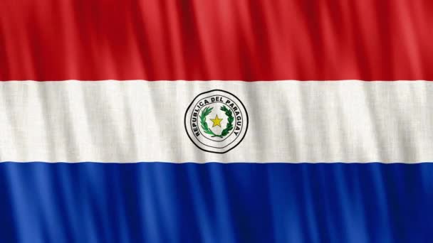 Paragwajska Flaga Narodowa Płynna Animacja Pętli Zbliżenie Machanie Wysokiej Jakości — Wideo stockowe