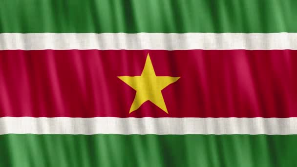 Σουρινάμ Εθνική Σημαία Απρόσκοπτη Κίνηση Βρόγχου Υψηλής Ποιότητας Uhd Fps — Αρχείο Βίντεο
