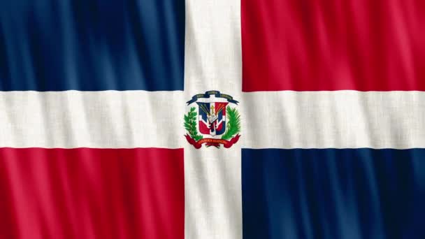 ドミニカ共和国国旗 シームレスなループアニメーションのクローズアップ手 高品質4K Udh Fpsの映像 — ストック動画