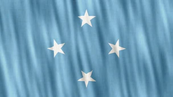Mikronezya Federal Devletleri Ulusal Bayrağı Kusursuz Döngü Animasyonu Yakın Plan — Stok video