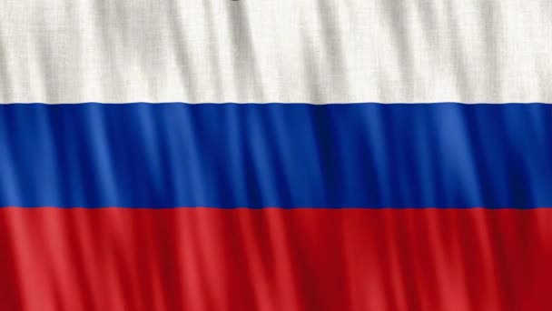 Ruská Národní Vlajka Bezešvé Smyčkové Animace Detailní Mávání Kvalitní Uhd — Stock video