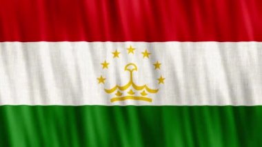 Tacikistan Ulusal Bayrağı. Kusursuz döngü animasyonu yakın plan el sallıyor. Yüksek kalite 4k uhd, 60 fps görüntü
