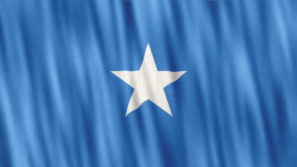 Szomália Nemzeti Zászló Zökkenőmentes Hurok Animáció Közelkép Integetett Kiváló Minőségű — Stock videók