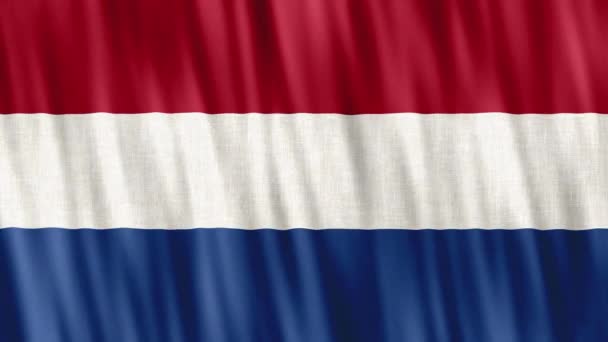 Niederländische Nationalflagge Nahtlose Loop Animation Winkt Hochwertiges Uhd Fps Filmmaterial — Stockvideo