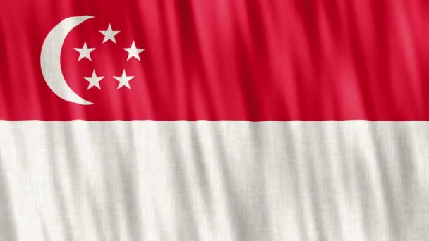 Singapurská Národní Vlajka Bezešvé Smyčkové Animace Detailní Mávání Kvalitní Uhd — Stock video