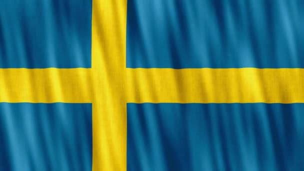 Švédská Národní Vlajka Bezešvé Smyčkové Animace Detailní Mávání Kvalitní Uhd — Stock video