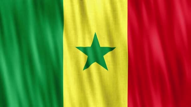 Senegal Nationale Vlag Naadloze Lus Animatie Close Zwaaien Hoge Kwaliteit — Stockvideo