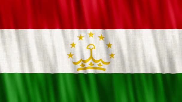 Tádžikistán Národní Vlajka Bezešvé Smyčkové Animace Detailní Mávání Kvalitní Uhd — Stock video