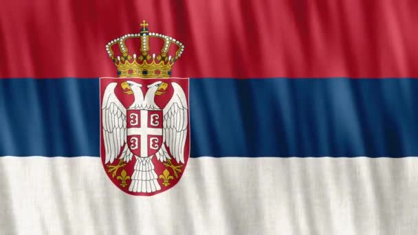 Flaga Narodowa Serbii Płynna Animacja Pętli Zbliżenie Machanie Wysokiej Jakości — Wideo stockowe