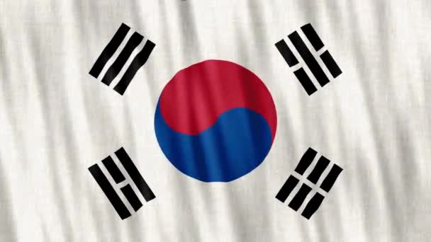 Bandeira Nacional Coreia Sul Animação Loop Sem Costura Closeup Acenando — Vídeo de Stock
