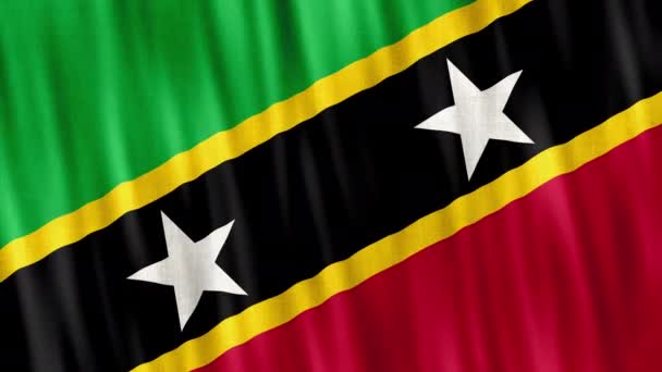 Saint Kitts Nevis Nemzeti Zászló Zökkenőmentes Hurok Animáció Közelkép Integetett — Stock videók