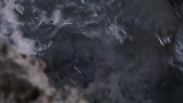 Yengeç Gün Batımında Kayalık Sahilde Yengeç Mermer Kaya Yengeci Pachygrapsus — Stok video