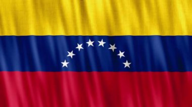Venezuela National Flag. Seamless loop animation closeup waving. High quality 4k uhd, 60 fps footage