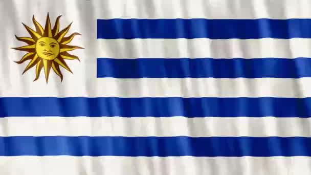 Bandeira Nacional Uruguai Animação Loop Sem Costura Closeup Acenando Alta — Vídeo de Stock