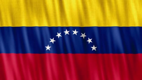 Venezuela Nationale Vlag Naadloze Lus Animatie Close Zwaaien Hoge Kwaliteit — Stockvideo