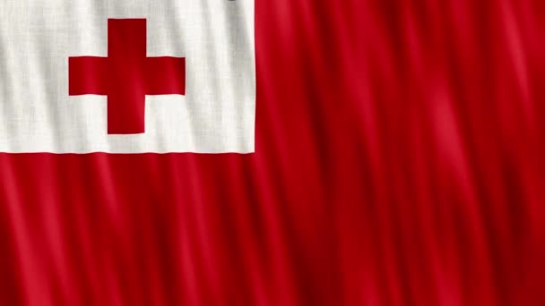 Tonga National Flag Seamless Loop Animation Closeup Waving High Quality — Video Stock