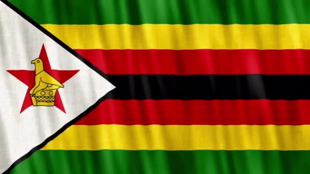 Национальный Флаг Зимбабве Бесшовный Цикл Анимации Крупным Планом Машет Высококачественный — стоковое видео