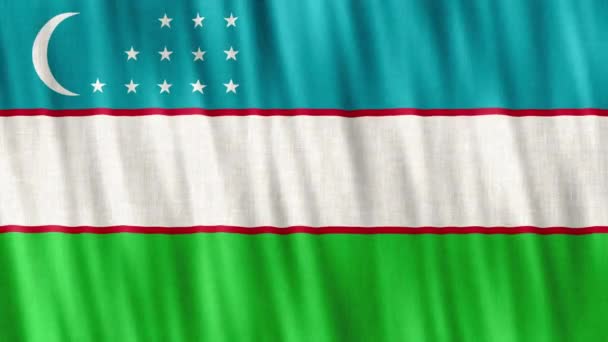Uzbekistans Nationella Flagga Sömlös Loop Animation Närbild Vinka Hög Kvalitet — Stockvideo