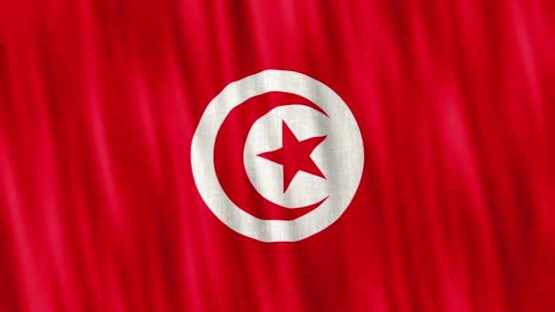 Государственный Флаг Туниса Бесшовный Цикл Анимации Крупным Планом Машет Высококачественный — стоковое видео