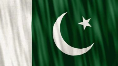 Pakistan National Flag. Seamless loop animation closeup waving. High quality 4k uhd, 60 fps footage