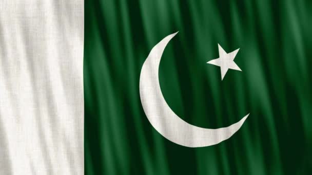 Pakistan National Flag Seamless Loop Animation Closeup Waving High Quality — Stockvideo