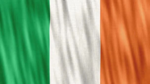 Ireland National Flag Seamless Loop Animation Closeup Waving High Quality — Stockvideo