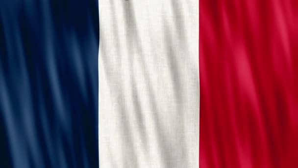 Національний Прапор Франції Безшовні Петлі Анімації Змикаються Махаючи Руками Висока — стокове відео