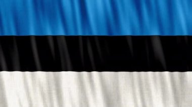 Estonia National Flag. Seamless loop animation closeup waving. High quality 4k uhd, 60 fps footage
